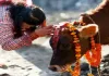 भारतीय संस्कृति और परंपरा में पूज्य है गाय