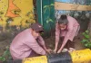 <span class="t-red">'एक पेड़ मां के नाम' अभियान को मिली रफ्तार, </span>मुरादाबाद से लखनऊ तक लगाए गए हजारों पौधे, पर्यावरण संरक्षण का लिया संकल्प