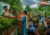 <span class="t-red">UP Van Mahotsav 2026: </span>आज से शुरू होगा वन महोत्सव, 'आम बहार-आपके द्वार' अभियान में फ्री मिलेंगे पौधे