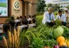 'मिट्टी स्वस्थ तो इंसान स्वस्थ': प्रो. हिमांशु पाठक बोले- Soil Health बिगड़ी तो Nutrition और Health दोनों होंगे प्रभावित