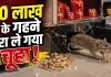 <span class="t-red">Rat Jewellery Thief:</span> 10 लाख के गहने चुरा ले गया चूहा, CCTV ने खोला राज; बिल खोदा तो मिलीं हीरे की अंगूठियां-सोने की चेन