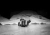 <span class="t-red">Sitapur News: </span> सिरकटी लाश का सनसनीखेज खुलासा, प्रेमिका ने प्रेमी को बुलाकर कराई हत्या, हिरासत में चार आरोपी 