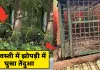 <span class="t-red">श्रावस्ती में झोपड़ी में घुसा तेंदुआ: </span>वन विभाग ने रेस्क्यू कर सुरक्षित जंगल में छोड़ा
