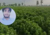 बिलाड़ी के जंगल में पेड़ से लटका मिला अस्पताल कर्मी का शव, गुरुवार से लापता था युवक