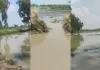 अमेठी में नहर की पटरी कटने से सैकड़ों बीघा धान की फसल जलमग्न, किसानों में हाहाकार