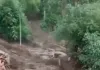 लगातार बारिश से जम्मू-श्रीनगर राष्ट्रीय राजमार्ग बंद, भूस्खलन और बाढ़ से 23 की मौत