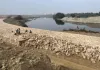 <span class="t-red">गोमती के किनारे निर्माण पर NGT की रोक, </span> पर्यावरण की अनदेखी से थम जाएंगे लखनऊ के ड्रीम प्रोजेक्ट्स, पड़ेगा सीधा असर