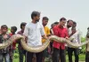 <span class="t-red">Lakhimpur Kheri News :  </span> धान के खेत में 16 फुट का अजगर, किसानों के उड़े होश; वन विभाग ने किया सुरक्षित रेस्क्यू