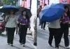 UP Weather Update : यूपी में फिर सुस्त पड़ा मानसून, सताएगी उमस भरी गर्मी, 13 जिलों में बारिश का अलर्ट 