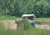 Shravasti News : प्रतिबंध के बावजूद धड़ल्ले से मिट्टी खनन, दिन के उजाले में ट्रैक्टर-ट्राली से ढुलाई; जिम्मेदार बेखबर