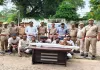 Sitapur News: जमीन विवाद में 25 राउंड फायरिंग का खुलासा, IPS मयंक बाजपेई के पिता समेत 10 गिरफ्तार