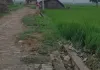 Shravasti News: पुराने ईंटों से खड़ंजा बनाकर नए निर्माण का भुगतान? ग्राम प्रधान पर ग्रामीणों ने लगाए गंभीर आरोप, DM से शिकायत