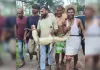 <span class="t-red">Sambhal News :</span> गंगा का जलस्तर बढ़ने से घर में घुसा मगरमच्छ, रातभर दहशत में रहा परिवार