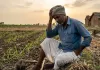 कम होता खेत का आकार और घाटे की खेती