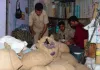 <span class="t-red">Hathras News : </span> स्टेशनरी व्यापारी के पास कहा से आये 5666 टन सिक्के, कॉइनेज एक्ट में दर्ज हुआ मामला 