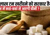 <span class="t-red"> India Sugar Import:</span> 10 साल में पहली बार विदेश से चीनी खरीदगा भारत, जानिए क्या है वजह 