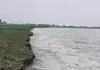 <span class="t-red">Budaun News : </span> गंगा की कटान से तटवर्ती गांवों में दहशत, बाढ़ के बीच एक लाख क्यूसेक से ज्यादा पानी
