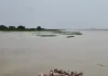 Badaun News : बदायूं में गंगा के रौद्र रूप से सहमे ग्रामीण, 62 बीघा से ज्यादा जमीन नदी में समाई, खुद तोड़ने लगे मकान 