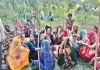 Pilibhit News : धमकियों से घबराकर युवक ने की थी आत्महत्या, लड़की के घरवालों पर एफआईआर 