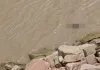 Shravasti News : सरयू नहर में उतराता दिखा नवजात का शव, पुलिस पहुंचने से पहले बहा; तलाश जारी