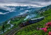 <span class="t-red">दार्जिलिंग: </span>बादलों की फुहार, टॉय ट्रेन की छुक-छुक और गोरखालैंड की पुरानी आस, हर मोड़ पर अलग कहानी