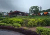 <span class="t-red">पुराने लखनऊ को फ्रेगरेंस पार्क का तोहफा, </span>राजनाथ सिंह करेंगे लोकार्पण 