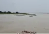 Badaun News : कछला गंगा में खतरे के निशान से ऊपर बह रहा पानी, तटवर्ती इलाकों में अलर्ट 