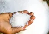 Sugar Price Hike : रक्षाबंधन पर महंगी हो सकती है मिठाई, चीनी के बढ़ते दामों से आम आदमी परेशान