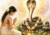 <span class="t-red">नागपंचमी : </span> शिव और नाग पूजा के लिए शुभ संयोग; जानें पूजा का सही समय