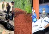<span class="t-red">250 शव, 100 अस्थायी कब्रें और हजारों लापता... </span>नेपाल बाढ़ में क्यों उठे अंतिम संस्कार पर सवाल?