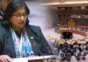 UNSC में भारत ने उठाई सुधार की मांग, कहा- विकासशील देशों को मिले ज्यादा प्रतिनिधित्व