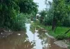 Shravasti News: बारिश ने खोली सड़क की पोल, गड्ढों में तब्दील अकबरपुर-केशवापुर मार्ग बना ‘नाला’