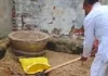 हवेली में घुसा खतरनाक कोबरा, भाजपा नेता ने दिखाई हिम्मत; बोरी में पकड़कर वन विभाग को सौंपा