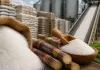 Sultanpur Sugar Price : चीनी के दाम बढ़े तो प्रशासन का अलर्ट, जानिए क्या बोले जिला गन्ना अधिकारी  