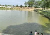 खुद में सदियों का इतिहास समेटे सूरजकुंड