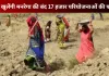 Ayodhya News: फिर खुलेंगी मनरेगा की बंद 17 हजार परियोजनाओं की फाइलें, रेंडम चेकिंग के बाद परियोजनाओं पर होगा काम