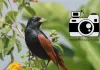 <span class="t-red">World Photography Day: </span> फिल्म रोल से मोबाइल कैमरे तक बदला दौर, नहीं बदली तस्वीरों की नजर