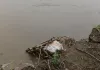 <span class="t-red"> Barabanki News:</span> बचा सकते नहीं, इसलिए घर तोड़ना मजबूरी; आंखों के सामने देख रहे नदी में डूबते घर, खेत 