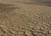 हमारे भोजन की पर्यावरणीय कीमत कौन चुका रहा है 