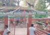 <span class="t-red">जन्माष्टमी पर बारिश का साया :</span> पोशाक और झूलों के बाजार पड़े ठंडे, दुकानों से खरीदार गायब