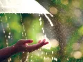 UP Weather : यूपी में 3 दिन आंधी, वज्रपात और भारी बारिश का अलर्ट, प्रयागराज समेत इन जिलों में 80 किमी/घंटे की रफ्तार से चलेंगी हवाएं