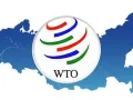 WTO वार्ता समाप्त : ई-कॉमर्स पर शुल्क से जुड़ी रोक बढ़ाने पर कोई सहमति नहीं 