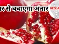 अनार बना रामबाण... झिल्ली लंग्स कैंसर के इलाज में कारगर, लखनऊ विश्वविद्यालय के शोध में हुआ बड़ा खुलासा, जानें क्या है खास
