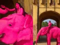 जयपुर में गुलाबी हाथी पर विवाद:  रूसी कलाकार का फोटोशूट हुआ वायरल, जानिए क्या है मामला  