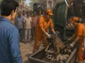 Short Story: वफादार कुत्तों का दर्द... सुबह प्यार, शाम को मौत