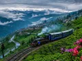 दार्जिलिंग: बादलों की फुहार, टॉय ट्रेन की छुक-छुक और गोरखालैंड की पुरानी आस, हर मोड़ पर अलग कहानी