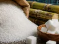 चीनी पर सरकार ने लगाया नया नियम,  अब व्यापारी नहीं कर सकेंगे स्टॉक जमा, 15 सितंबर से लिमिट होगी तय 