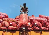<span class="t-red">Onion Price :</span> चीनी के बाद अब प्याज ने रुलाया! करीब 59% उछले दाम, सरकार की ‘कांदा एक्सप्रेस’ से कीमतों पर लगेगी लगाम