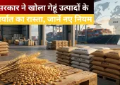 <span class="t-red">Wheat Export:</span> आटा-मैदा-सूजी के निर्यात से हटा प्रतिबंध, सरकार ने बदले नियम