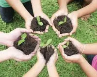 राष्ट्रीय कृषि विकास योजना में यूपी को मिला 1098.02 लाख का तोहफा, गैर-सब्सिडी उर्वरक बिक्री बंद